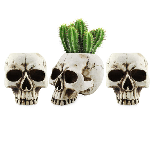 Skull Mini Planter Vases (3-Pack)