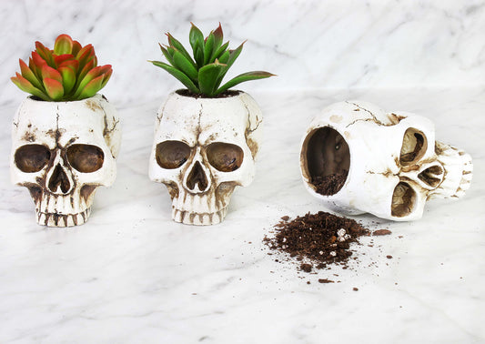 Skull Mini Planter Vases (3-Pack)