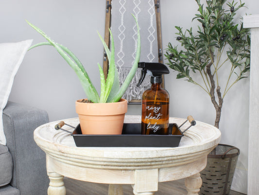 Crazy Plant Lady Spray Bottle Set (Set of 2)