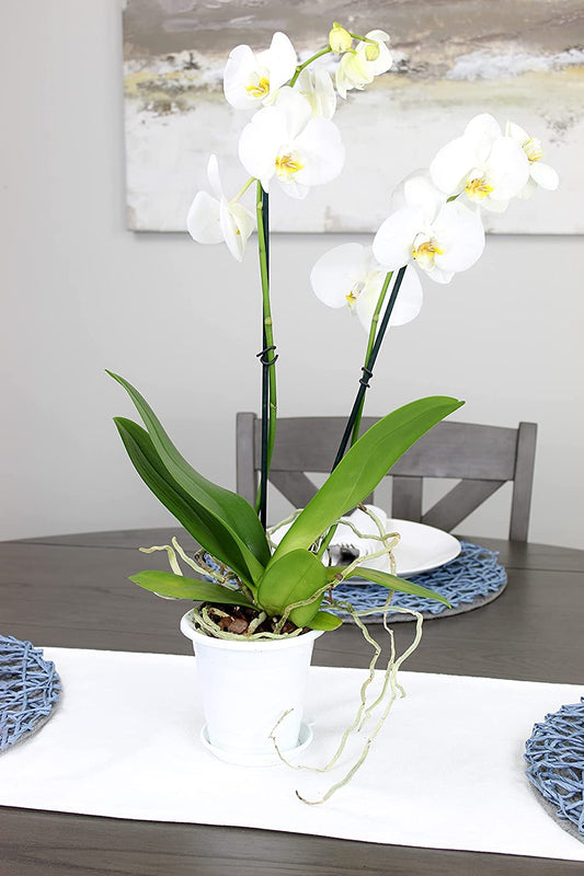 4.5 Inch Orchid Pot Sets (4-Pack)